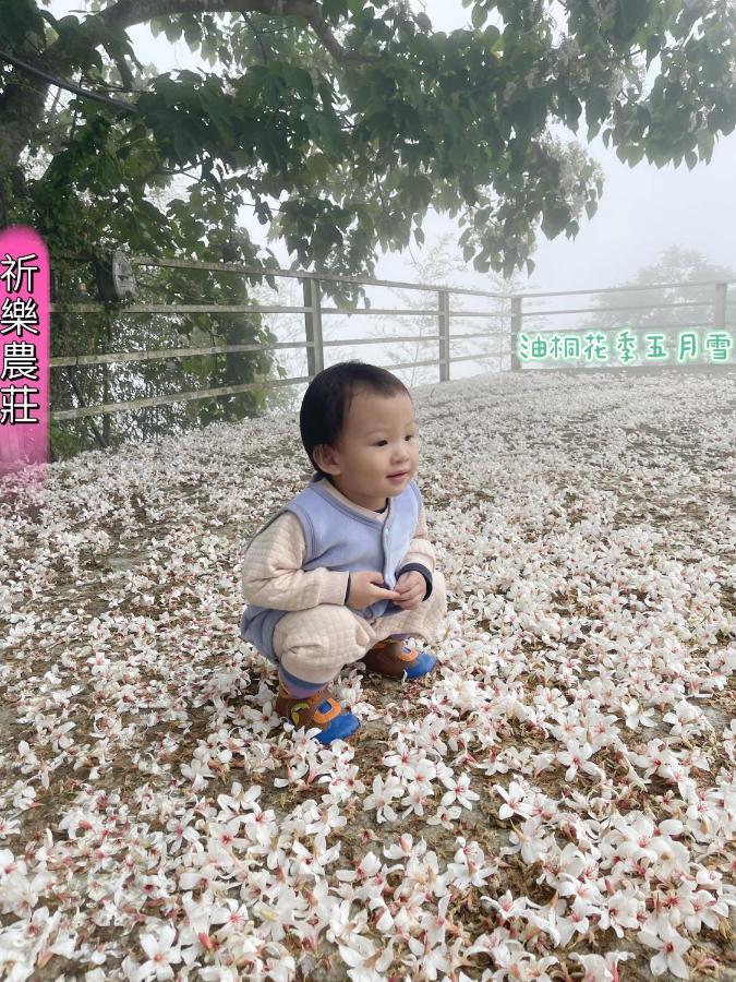 Lala Mountain Homestay‧Cile Farm Hualing Exterior foto